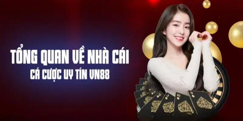 Thông tin chung giới thiệu về thương hiệu cá cược VN88