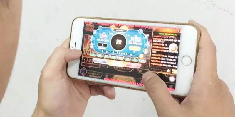 Tiêu chí xác định một nhà cái cung cấp game Tài Xỉu uy tín nhất